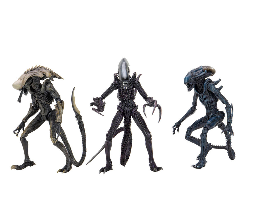 Alien vs Predator Arachnoid Alien (Movie Deco) 7-Inch Scale Action Figure