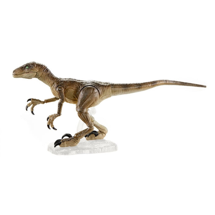 Jurassic World Amber Collection Velociraptor Action Figure