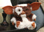 Gremlins Musical Dancing Gizmo 8-Inch Plush