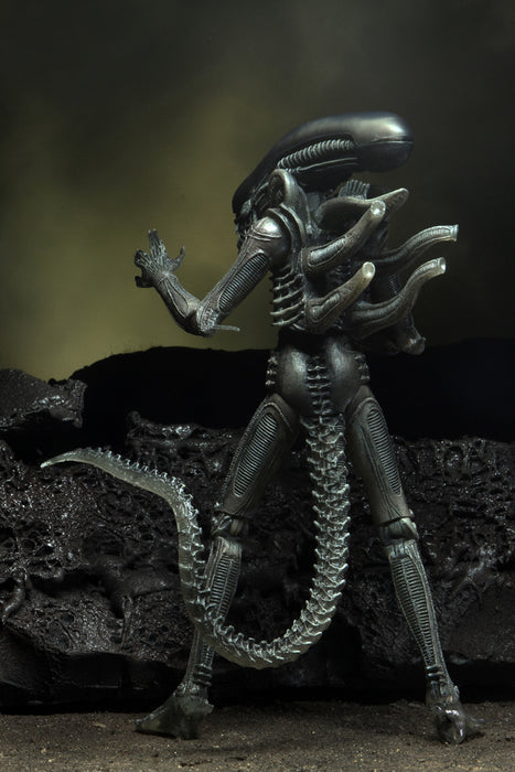 Alien 40th Anniversary Wave 4 – Alien 7-Inch Scale Action Figure