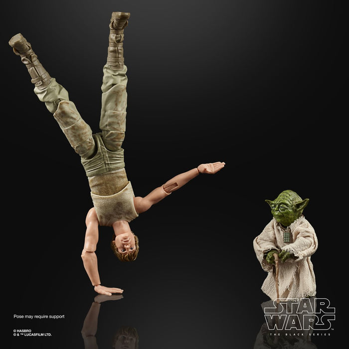 Star Wars The Black Series Luke Skywalker and Yoda (Jedi Training) 6-Inch Action Figures