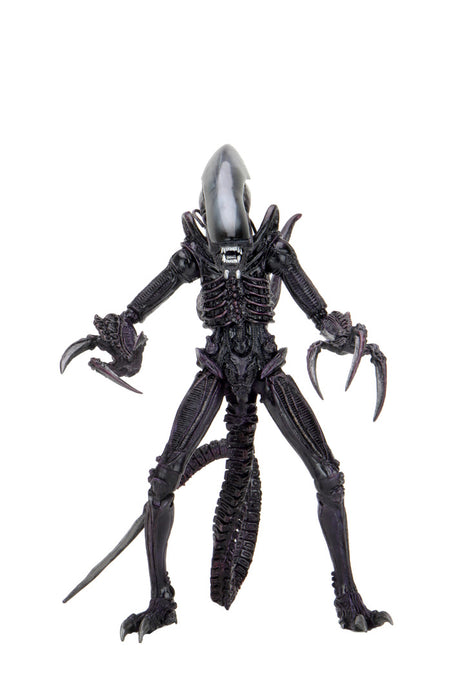 Alien vs Predator Razor Claws Alien (Movie Deco) 7-Inch Action Figure