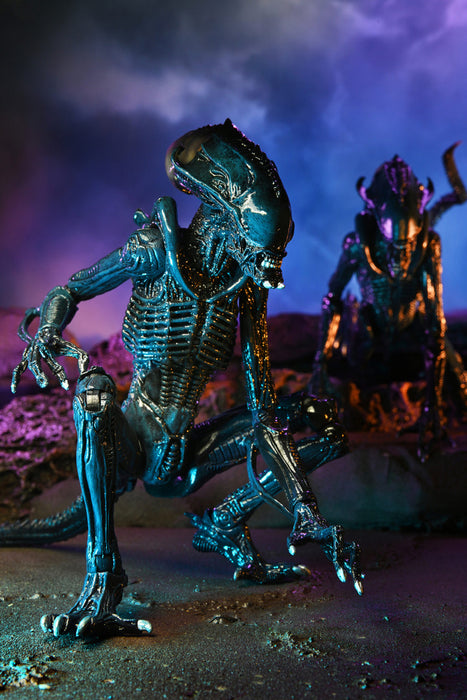 Alien vs Predator Arachnoid Alien (Movie Deco) 7-Inch Scale Action Figure