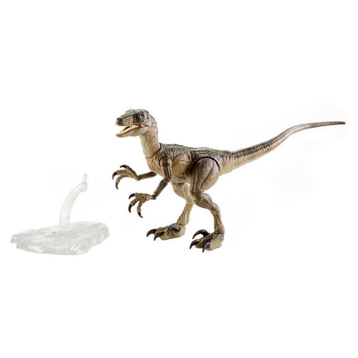 Jurassic World Amber Collection Velociraptor Action Figure