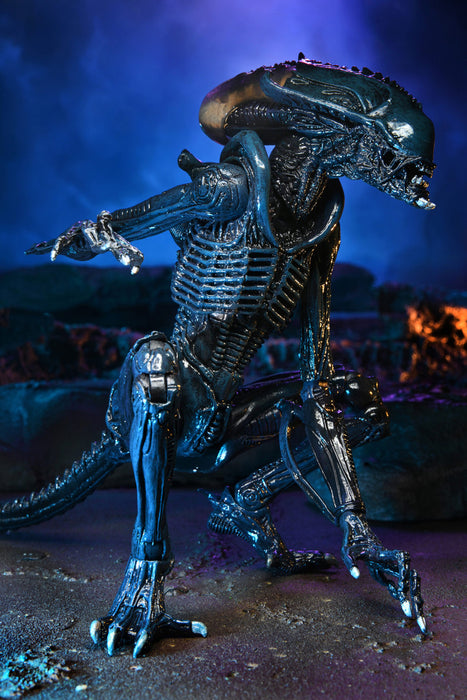 Alien vs Predator Arachnoid Alien (Movie Deco) 7-Inch Scale Action Figure