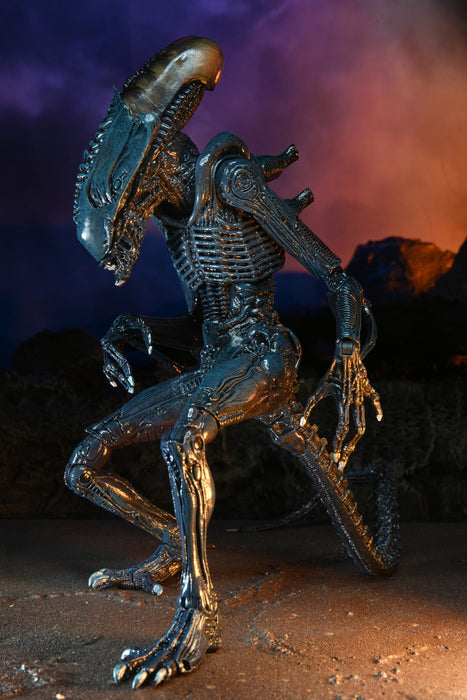 Alien vs Predator Arachnoid Alien (Movie Deco) 7-Inch Scale Action Figure