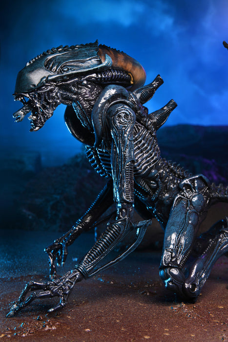 Alien vs Predator Arachnoid Alien (Movie Deco) 7-Inch Scale Action Figure