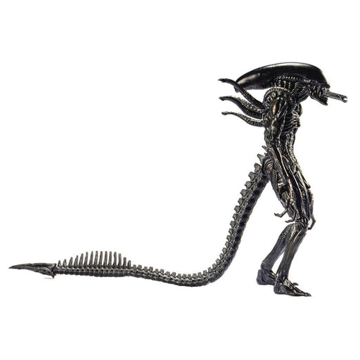 AVP: Alien vs. Predator Alien Warrior 1:18 Scale Action Figure