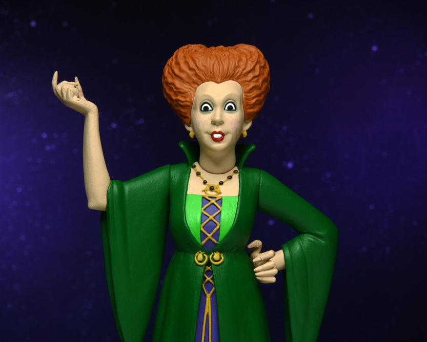 Hocus Pocus 6-Inch Scale Toony Terrors Winifred Action Figure