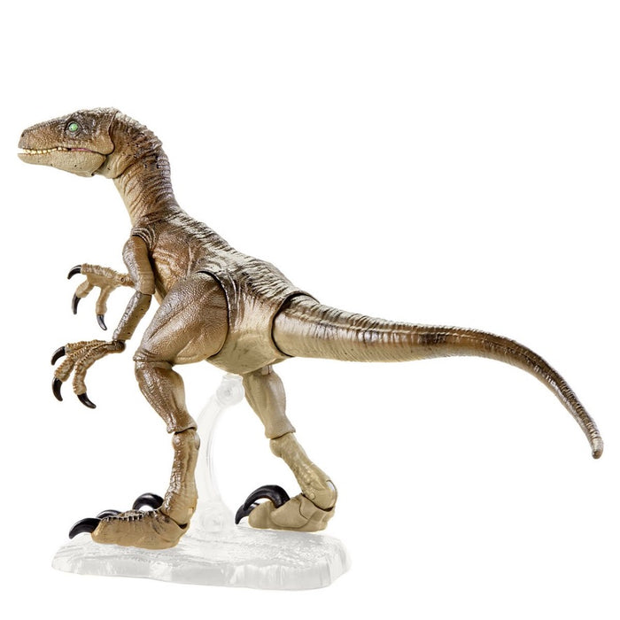 Jurassic World Amber Collection Velociraptor Action Figure