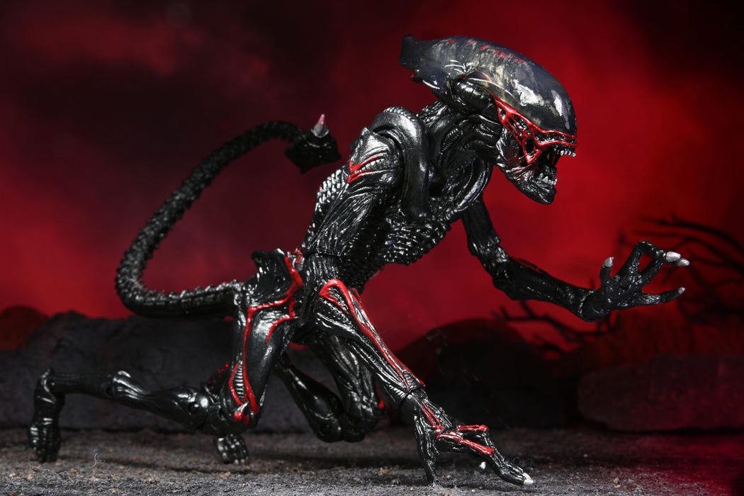 Aliens Kenner Tribute Night Cougar Alien 7-Inch Scale Action Figure