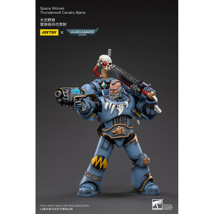 Warhammer 40,000 Space Wolves Thunderwolf Calvary Bjane 1:18 Scale Action Figure Set