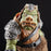 Star Wars The Black Series Gamorrean Guard 6-inch Action Figure